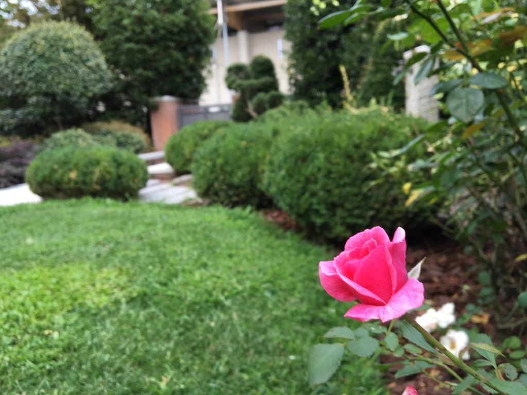 Rosa Del Grappa Bed and Breakfast Exteriör bild